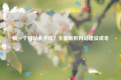 搞一个网站多少钱？全面解析网站建设成本