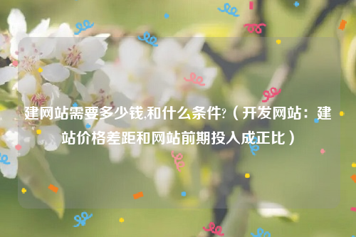 建网站需要多少钱,和什么条件?（开发网站：建站价格差距和网站前期投入成正比）