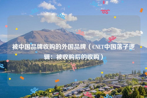 被中国品牌收购的外国品牌（CNET中国落子逻辑：被收购后的收购）