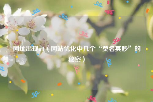 网址出现nil（网站优化中几个“莫名其妙”的秘密）