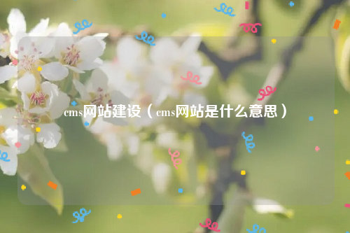 cms网站建设（cms网站是什么意思）