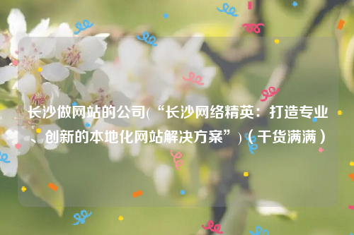 长沙做网站的公司(“长沙网络精英：打造专业、创新的本地化网站解决方案”)（干货满满）