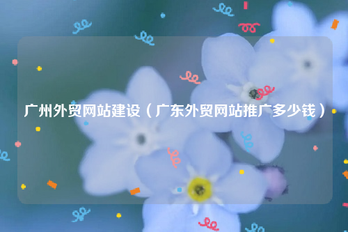 广州外贸网站建设（广东外贸网站推广多少钱）
