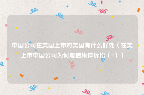 中国公司在美国上市对美国有什么好处（在美上市中国公司为何屡遭集体诉讼（2））