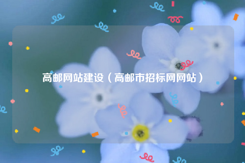 高邮网站建设（高邮市招标网网站）