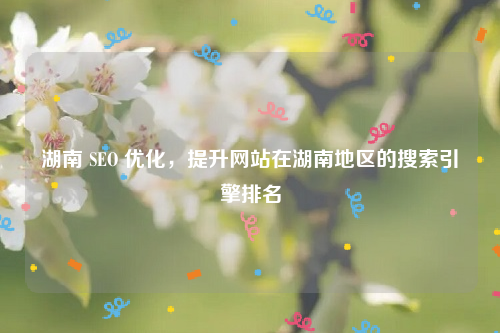 湖南 SEO 优化，提升网站在湖南地区的搜索引擎排名