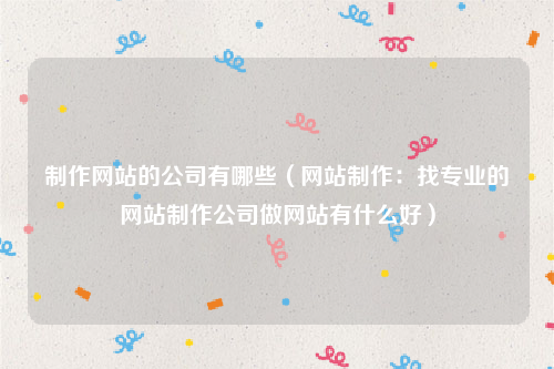 制作网站的公司有哪些（网站制作：找专业的网站制作公司做网站有什么好）