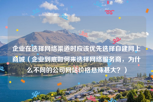 企业在选择网络渠道时应该优先选择自建网上商城（企业到底如何来选择网络服务商，为什么不同的公司网站价格悬殊甚大？）