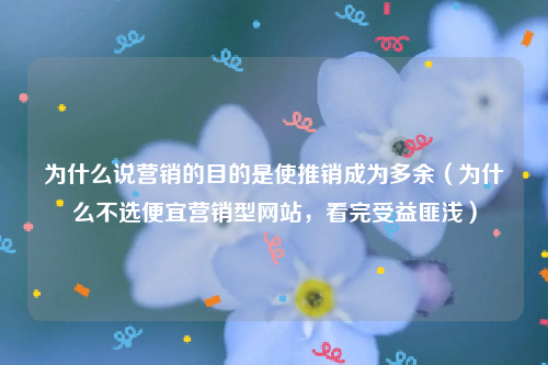 为什么说营销的目的是使推销成为多余（为什么不选便宜营销型网站，看完受益匪浅）