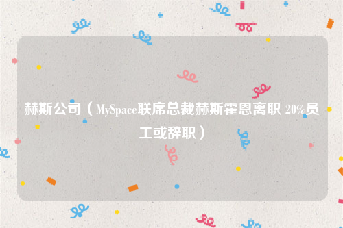 赫斯公司（MySpace联席总裁赫斯霍恩离职 20%员工或辞职）