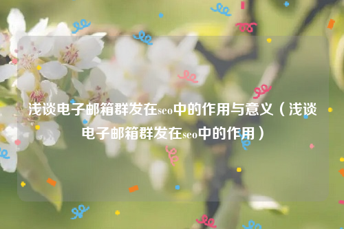浅谈电子邮箱群发在seo中的作用与意义（浅谈电子邮箱群发在seo中的作用）