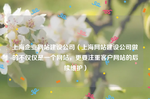 上海企业网站建设公司（上海网站建设公司做的不仅仅是一个网站，更要注重客户网站的后续维护）