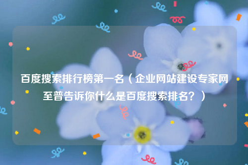 百度搜索排行榜第一名（企业网站建设专家网至普告诉你什么是百度搜索排名？）