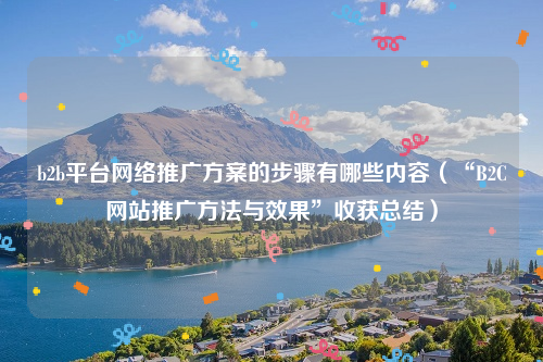 b2b平台网络推广方案的步骤有哪些内容（“B2C网站推广方法与效果”收获总结）