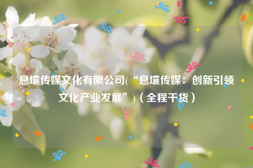 息壤传媒文化有限公司(“息壤传媒：创新引领文化产业发展”)（全程干货）