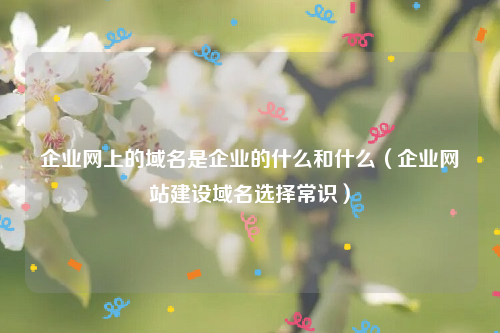 企业网上的域名是企业的什么和什么（企业网站建设域名选择常识）