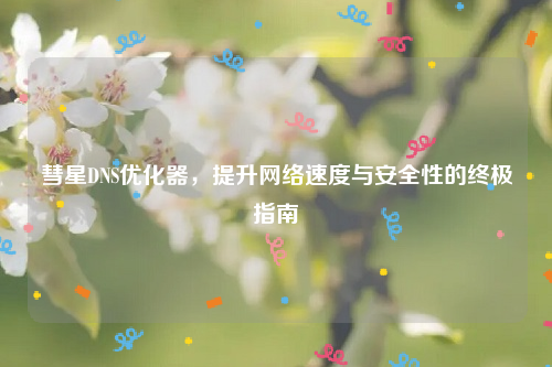 彗星DNS优化器，提升网络速度与安全性的终极指南