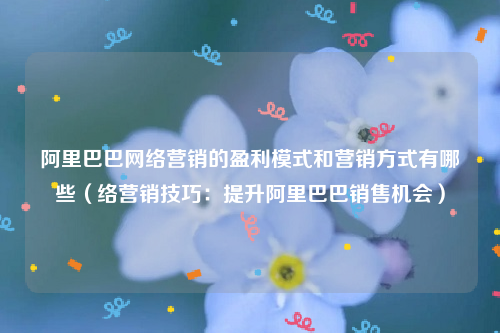 阿里巴巴网络营销的盈利模式和营销方式有哪些（络营销技巧：提升阿里巴巴销售机会）