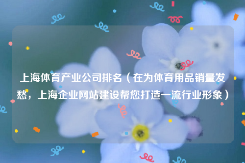 上海体育产业公司排名（在为体育用品销量发愁，上海企业网站建设帮您打造一流行业形象）