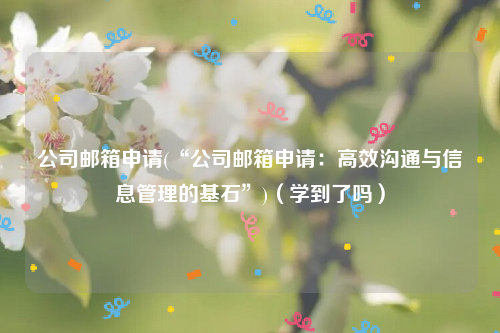 公司邮箱申请(“公司邮箱申请：高效沟通与信息管理的基石”)（学到了吗）