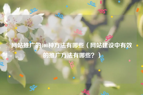 网站推广的100种方法有哪些（网站建设中有效的推广方法有哪些？）