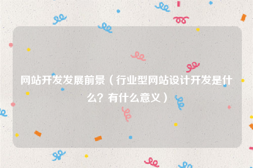 网站开发发展前景（行业型网站设计开发是什么？有什么意义）