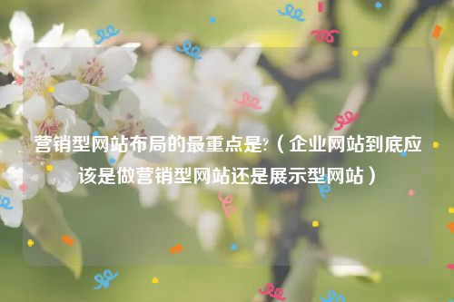 营销型网站布局的最重点是?（企业网站到底应该是做营销型网站还是展示型网站）