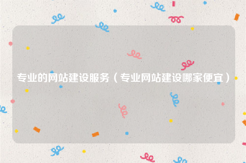专业的网站建设服务（专业网站建设哪家便宜）
