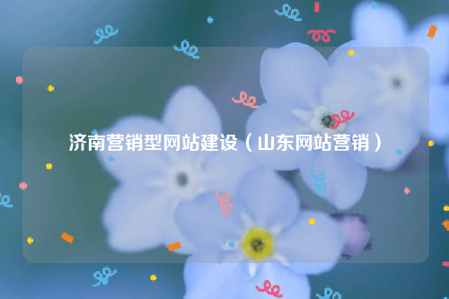 济南营销型网站建设（山东网站营销）