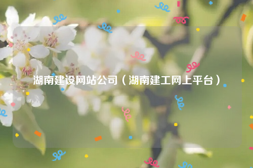 湖南建设网站公司（湖南建工网上平台）