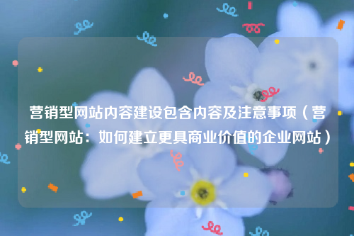 营销型网站内容建设包含内容及注意事项（营销型网站：如何建立更具商业价值的企业网站）