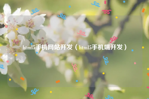 html5手机网站开发（html5手机端开发）