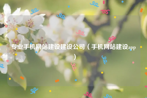 专业手机网站建设建设公司（手机网站建设app）
