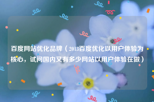 百度网站优化品牌（2013百度优化以用户体验为核心，试问国内又有多少网站以用户体验在做）